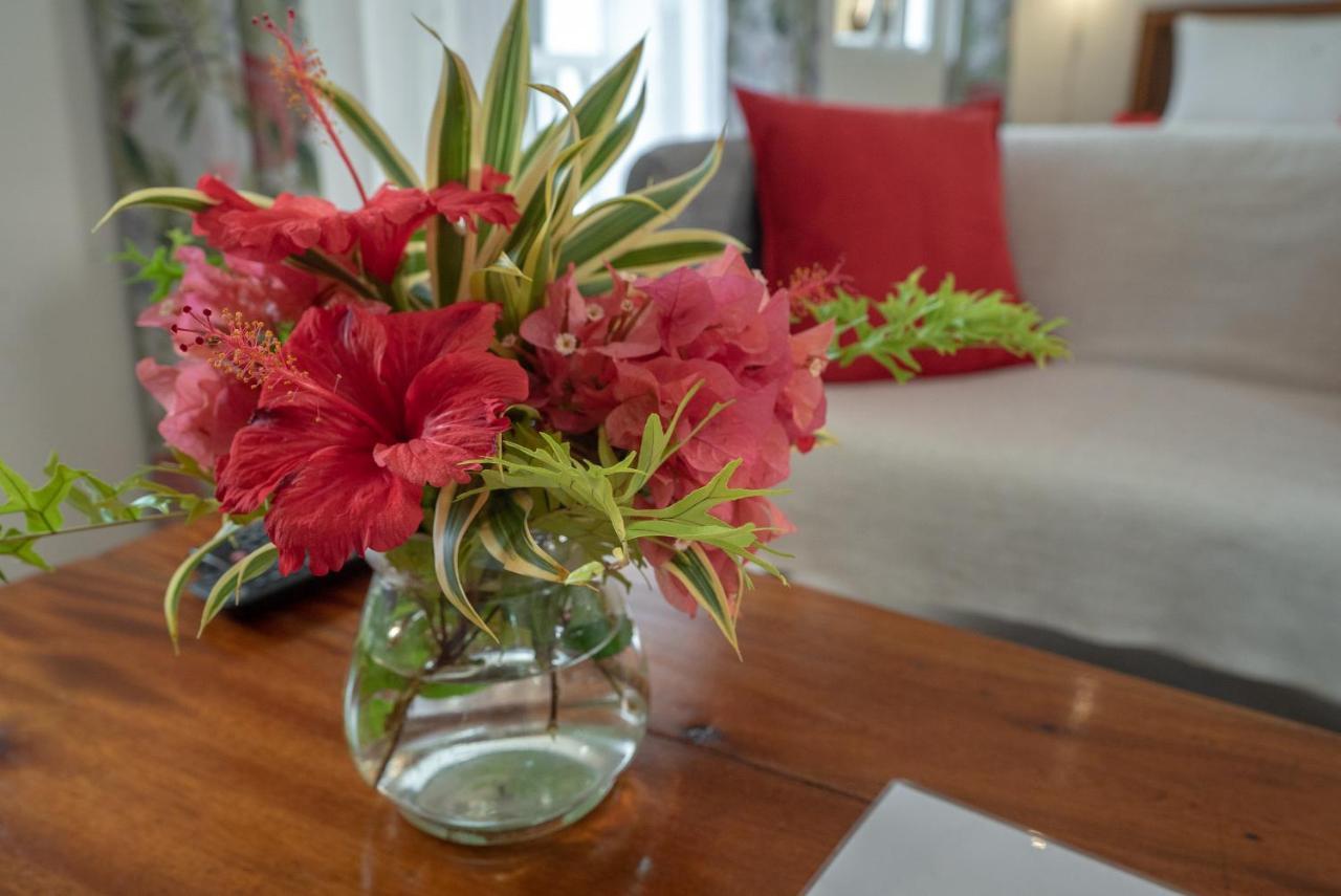 La Maison Hibiscus Self Catering Accommodation ボー・ヴァロン エクステリア 写真